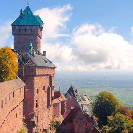 Апартаменты Le Strasbourgeois Иллкирх-Графенштаден Экстерьер фото