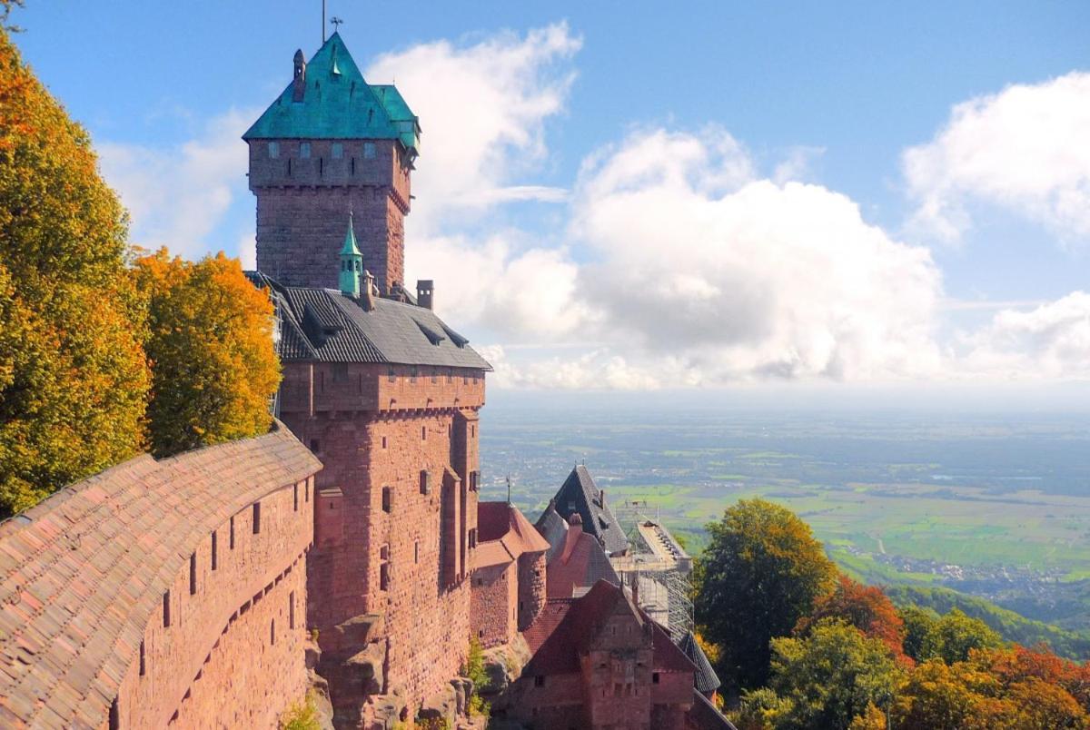 Апартаменты Le Strasbourgeois Иллкирх-Графенштаден Экстерьер фото